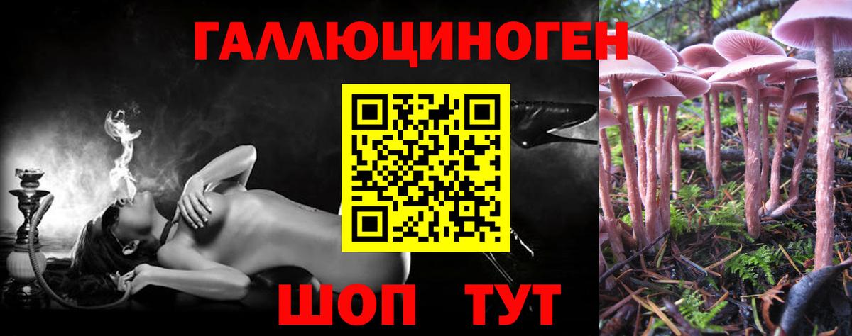 Галлюциногенные грибы мицелий  Вход с VPN  Россия 
